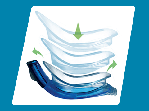https://jet.speedo.co.il/wp-content/uploads/2019/04/PDP_tech-section_Biofuse_LOGO.jpg